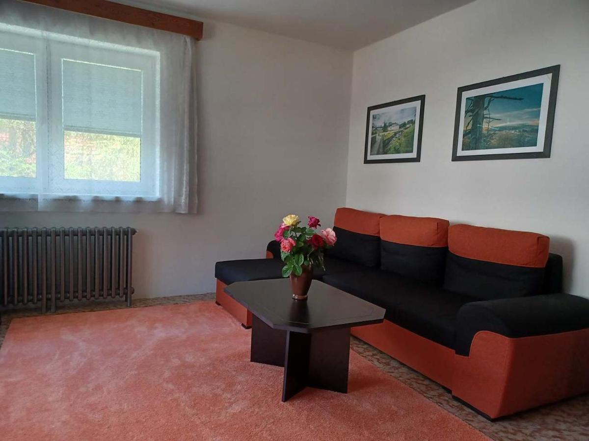 Apartmany U Vleku 卡尔洛瓦斯图丹卡 外观 照片