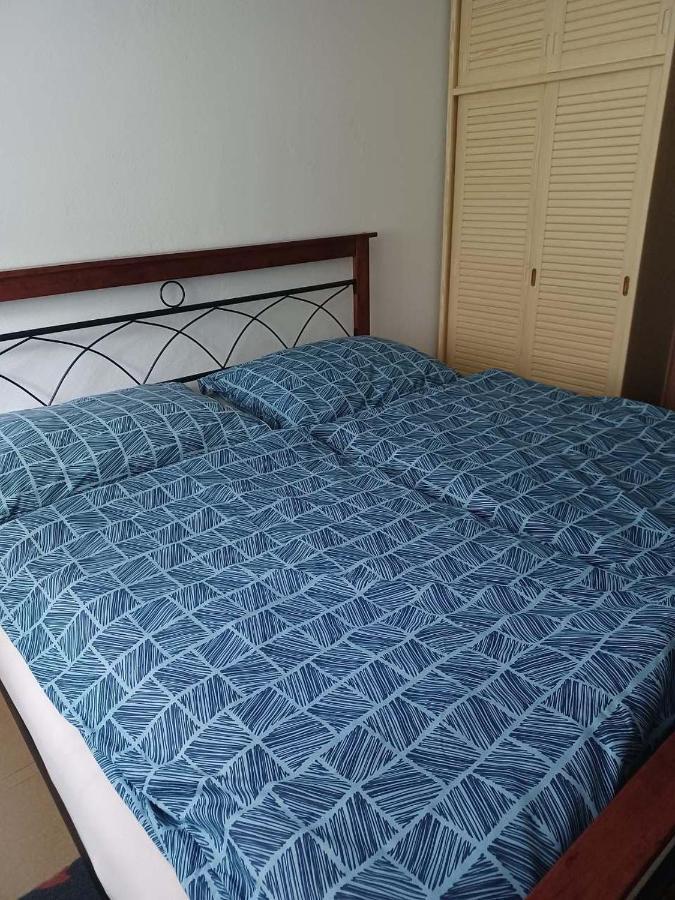 Apartmany U Vleku 卡尔洛瓦斯图丹卡 外观 照片
