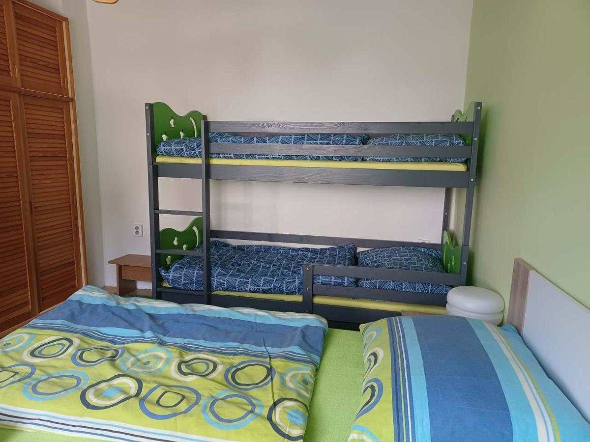 Apartmany U Vleku 卡尔洛瓦斯图丹卡 外观 照片